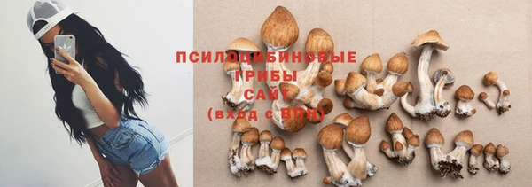 Альфа ПВП Касимов