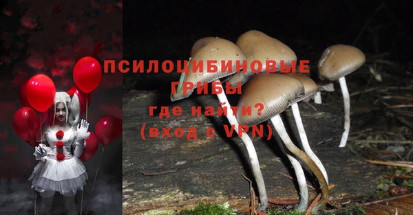 крисы Карпинск
